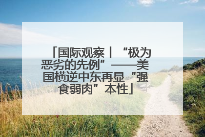 国际观察丨“极为恶劣的先例”——美国横逆中东再显“强食弱肉”本性