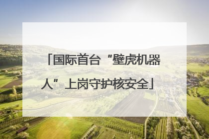 国际首台“壁虎机器人”上岗守护核安全