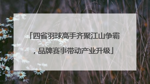 四省羽球高手齐聚江山争霸，品牌赛事带动产业升级