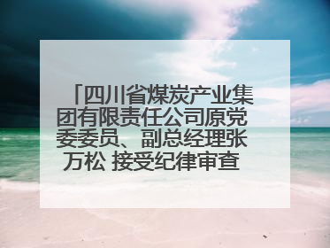 四川省煤炭产业集团有限责任公司原党委委员、副总经理张万松 接受纪律审查和监察调查