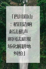 四川眉山：稻田边响起法槌声 巡回法庭现场化解耕地纠纷