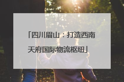四川眉山：打造西南天府国际物流枢纽