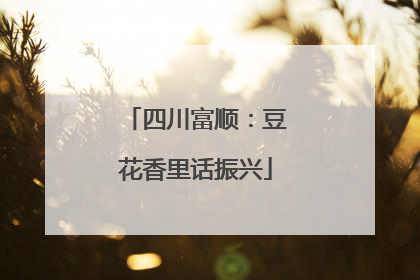 四川富顺：豆花香里话振兴