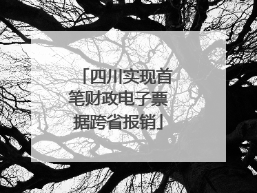 四川实现首笔财政电子票据跨省报销