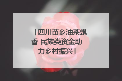 四川苗乡油茶飘香 民族类资金助力乡村振兴