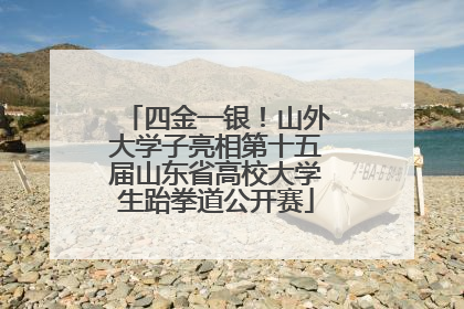 四金一银！山外大学子亮相第十五届山东省高校大学生跆拳道公开赛