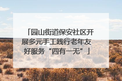 园山街道保安社区开展多元手工践行老年友好服务“四有一无”