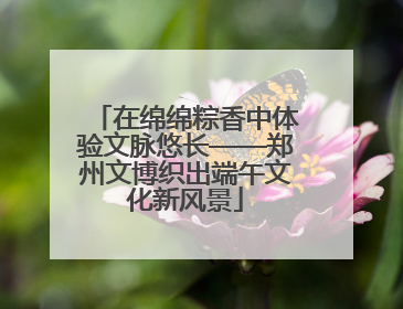 在绵绵粽香中体验文脉悠长——郑州文博织出端午文化新风景