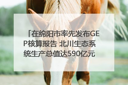 在绵阳市率先发布GEP核算报告 北川生态系统生产总值达590亿元｜新闻发布最前线