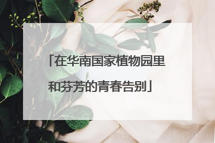 在华南国家植物园里和芬芳的青春告别