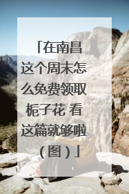 在南昌 这个周末怎么免费领取栀子花 看这篇就够啦（图）