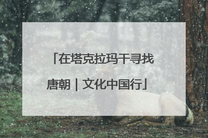 在塔克拉玛干寻找唐朝｜文化中国行