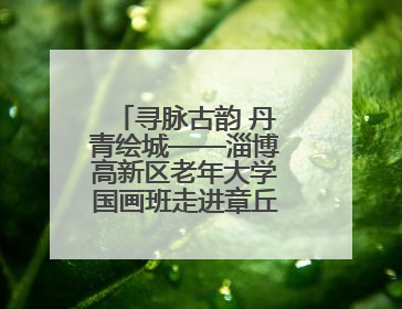 寻脉古韵 丹青绘城——淄博高新区老年大学国画班走进章丘明水古城开展文化研学活动