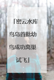 密云水库鸟岛首批幼鸟成功离巢试飞