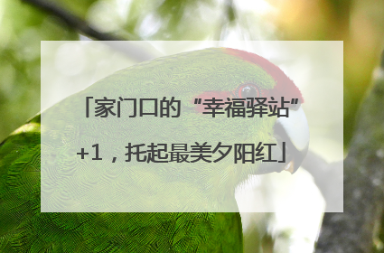 家门口的“幸福驿站”+1，托起最美夕阳红