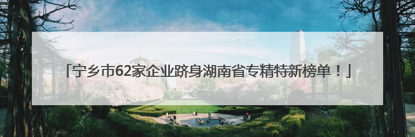 宁乡市62家企业跻身湖南省专精特新榜单！