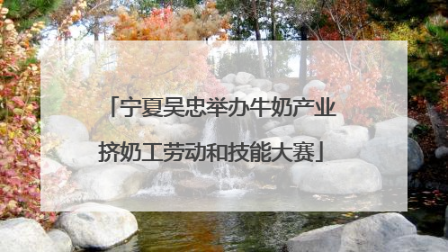 宁夏吴忠举办牛奶产业挤奶工劳动和技能大赛