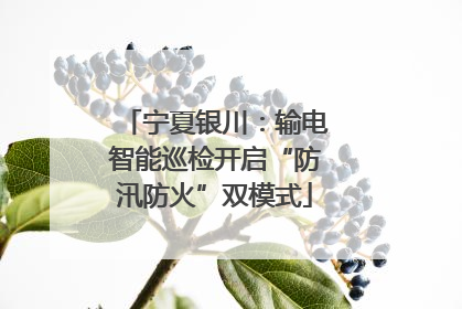 宁夏银川：输电智能巡检开启“防汛防火”双模式