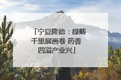 宁夏隆德：绿畴千里展画卷 药香四溢产业兴