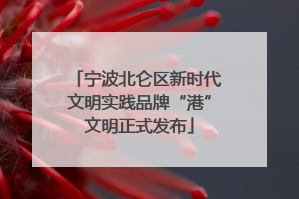 宁波北仑区新时代文明实践品牌“港”文明正式发布