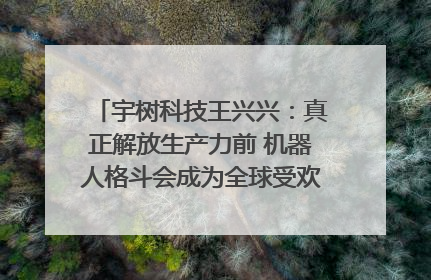 宇树科技王兴兴：真正解放生产力前 机器人格斗会成为全球受欢迎的赛事｜科技观察