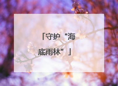 守护“海底雨林”