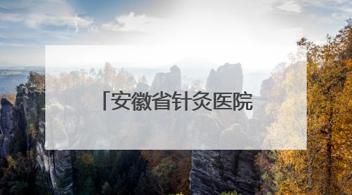 安徽省针灸医院冬病夏治养生文化节开幕 快来“趁热打贴”