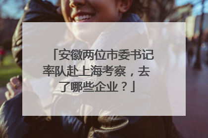 安徽两位市委书记率队赴上海考察，去了哪些企业？