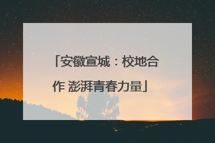 安徽宣城：校地合作 澎湃青春力量