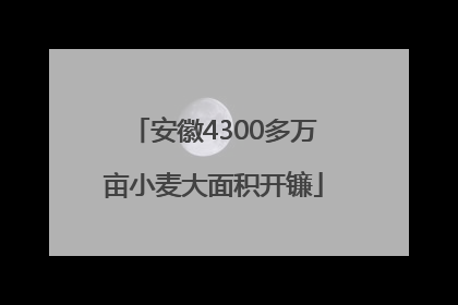 安徽4300多万亩小麦大面积开镰
