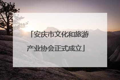 安庆市文化和旅游产业协会正式成立