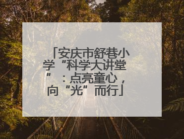 安庆市舒巷小学“科学大讲堂”：点亮童心，向“光”而行