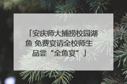 安庆师大捕捞校园湖鱼 免费宴请全校师生品尝“全鱼宴”