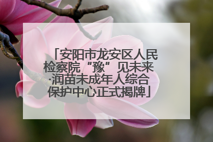 安阳市龙安区人民检察院“豫”见未来·润苗未成年人综合保护中心正式揭牌