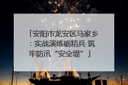 安阳市龙安区马家乡：实战演练砺精兵 筑牢防汛“安全堤”