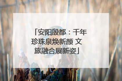 安阳殷都：千年珍珠泉焕新颜 文旅融合展新姿