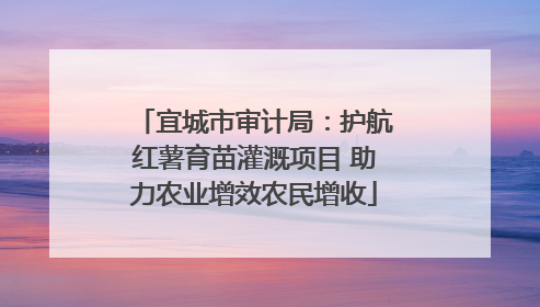 宜城市审计局：护航红薯育苗灌溉项目 助力农业增效农民增收