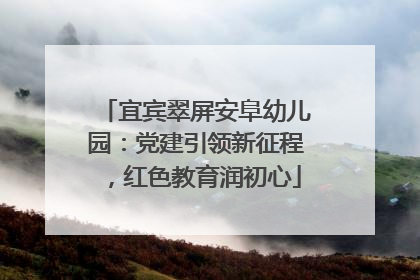 宜宾翠屏安阜幼儿园：党建引领新征程，红色教育润初心