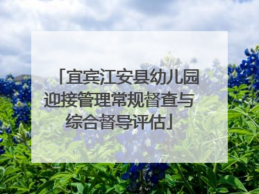 宜宾江安县幼儿园迎接管理常规督查与综合督导评估