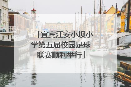 宜宾江安小坝小学第五届校园足球联赛顺利举行