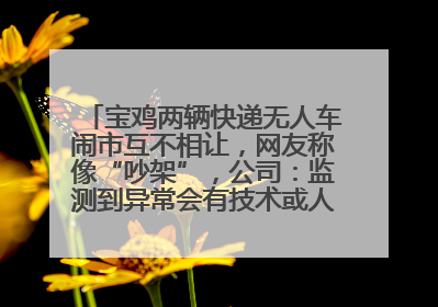 宝鸡两辆快递无人车闹市互不相让，网友称像“吵架”，公司：监测到异常会有技术或人为干预处置