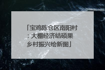 宝鸡陈仓区南阳村：大棚经济结硕果 乡村振兴绘新图
