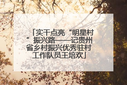 实干点亮“明星村”振兴路——记贵州省乡村振兴优秀驻村工作队员王培欢