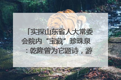 实探山东省人大常委会院内“宝藏”珍珠泉：乾隆曾为它题诗，游客无需预约免费游览