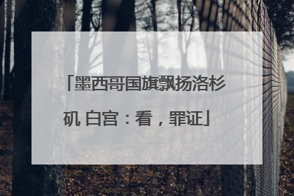 墨西哥国旗飘扬洛杉矶 白宫：看，罪证