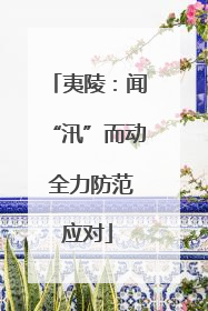 夷陵：闻“汛”而动 全力防范应对
