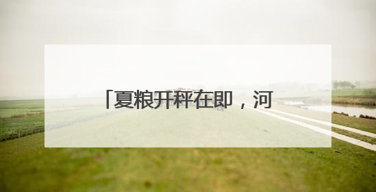 夏粮开秤在即，河北收购准备就绪