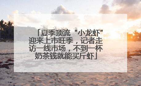 夏季顶流“小龙虾”迎来上市旺季，记者走访一线市场，不到一杯奶茶钱就能买斤虾