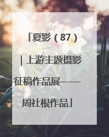 夏影（87）｜上游主题摄影征稿作品展——周社根作品
