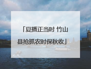夏播正当时 竹山县抢抓农时保秋收